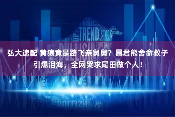 弘大速配 黄猿竟是路飞亲舅舅？暴君熊舍命救子引爆泪海，全网哭求尾田做个人！