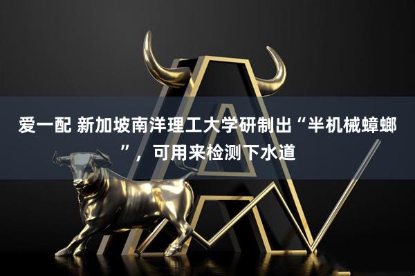 爱一配 新加坡南洋理工大学研制出“半机械蟑螂”，可用来检测下水道