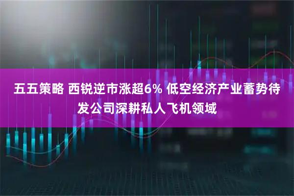 五五策略 西锐逆市涨超6% 低空经济产业蓄势待发公司深耕私人飞机领域