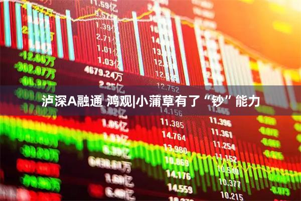 泸深A融通 鸿观|小蒲草有了“钞”能力